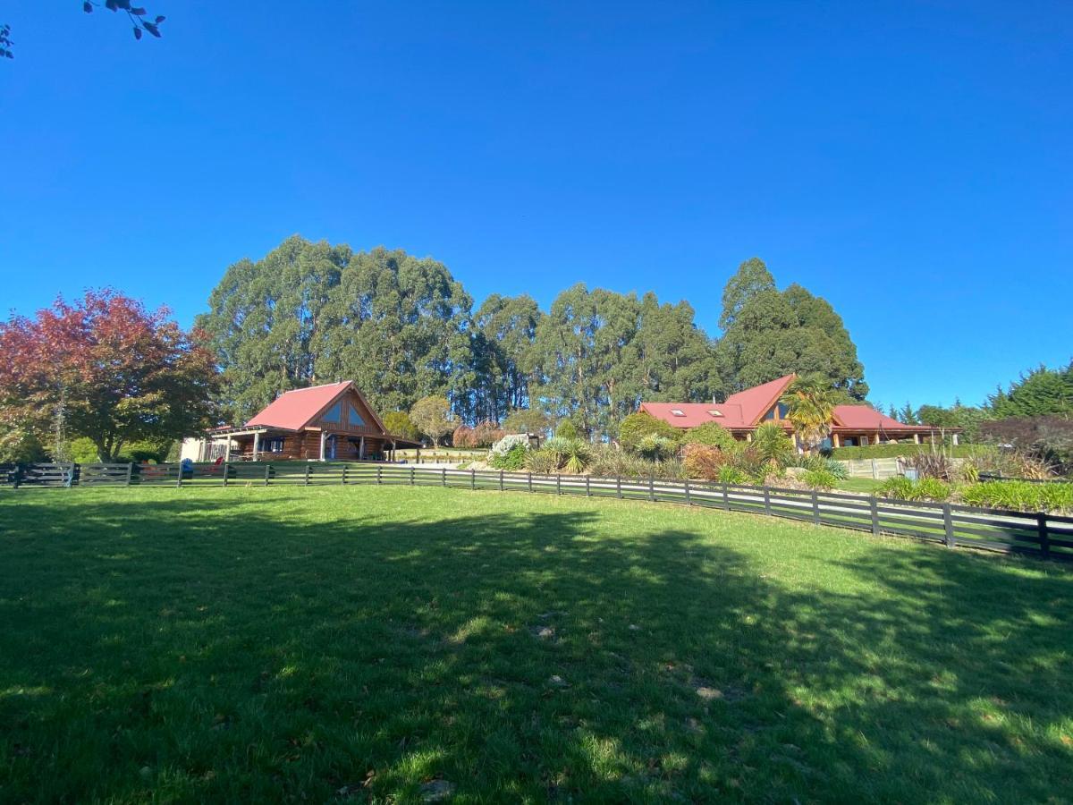 Tree Hut Cottage 马斯特顿 外观 照片